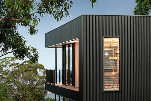 Фасадная (стеновая) реечная панель CM WALL, 219х26мм, Цвет: BLACK WOOD (Черное дерево)